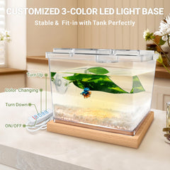 MoonOrange 0.2-gallon compact tank fits small fish and invertebrates.
