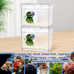 MoonOrange mini tank with feeding hole makes quick, mess-free feeding possible
