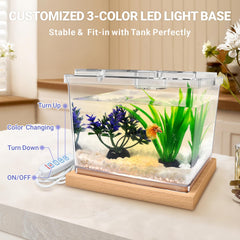 MoonOrange stackable design keeps your display neat and space-efficient.