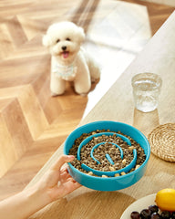 MOPANG puzzle maze bowl close-up showing interactive design for mealtime enrichment