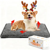 Mora Pets self-heating bed with reflective layer delivers cozy warmth for pets.