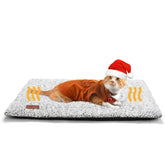Mora Pets self-warming cat bed front view showing cozy structure for cold-weather naps