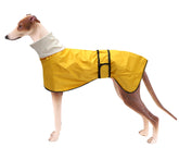 Morezi dog raincoat with reflective bar for safer nighttime visibility.