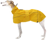 Morezi Greyhound Raincoat front view keeps dogs dry in light rain