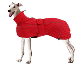 Morezi Greyhound Winter Coat water-resistant red front view for everyday protection