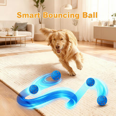 Morhandisn dog ball motion modes adapt to energy levels for versatile play