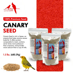 Morning Bird Canary Seed in a feeder supports energetic activity.