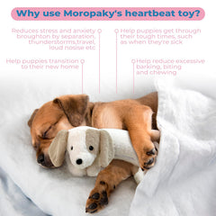 Moropaky Heartbeat Puppy Toy crate-training scene demonstrates comfort during kennel introduction