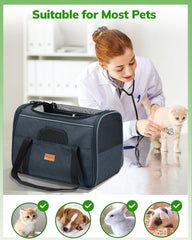Morpilot Foldable Bowl on-the-go provides convenient hydration during travel
