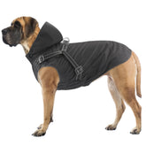 Mosucoirl dog raincoat waterproof hooded in action keeps your pup dry on rainy walks.