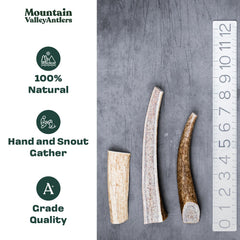 Mountain Valley Antlers dog chew, odor-free inside living spaces for mess-free play.