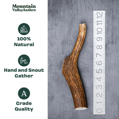 Mountain Valley Antlers hand-selected elk antlers close-up highlights premium texture for chewing.