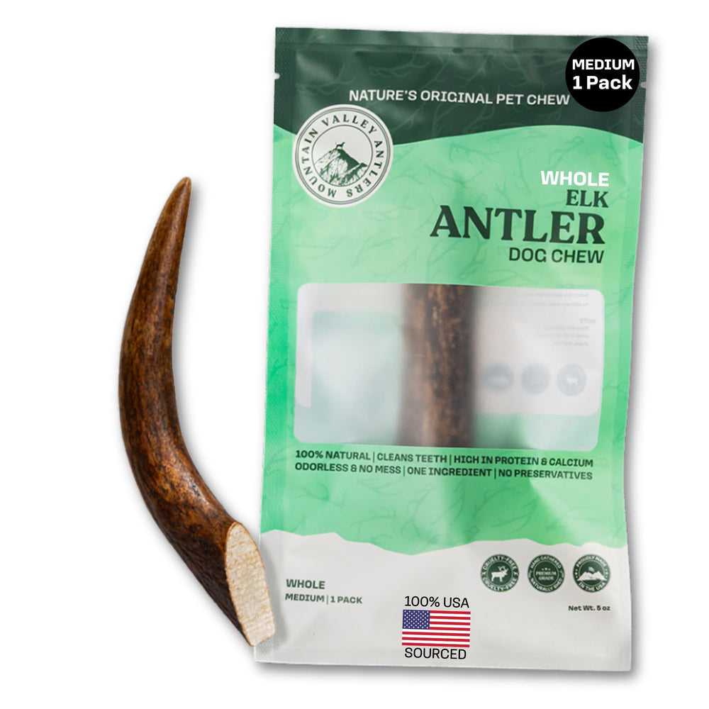 Mountain Valley Antlers wild-foraged elk antler dog chew supports lasting chew sessions.