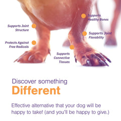 MOVOFLEX zanthin-astaxanthin emphasizes antioxidant protection for joints.
