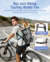 Moysoon small-dog backpack features padded straps for all-day comfort on long walks.