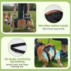 Moysoon Dog Lift Harness hidden pocket detail shows tidy storage