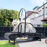 Moysoon dog treadmill indoors setup for daily energy burn.