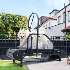 Moysoon dog treadmill indoors setup for daily energy burn.