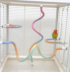MQACPUPY rope perch parrot demonstrates active climbing and varied grip options