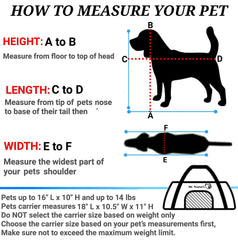Mr. Peanut's airline approved pet carrier back view with breathable mesh ventilation