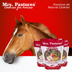 Mrs Pastures horse training snack use shows rewards during sessions