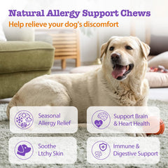 Mshuheene Dog Allergy Chews ingredients label highlights five probiotics and omega-3 support.