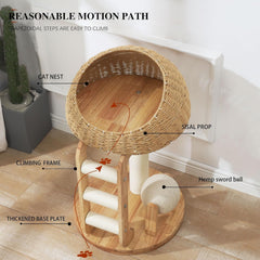 MSNWCAAAT modern cat tree with sisal-posts supports scratching and furniture protection.