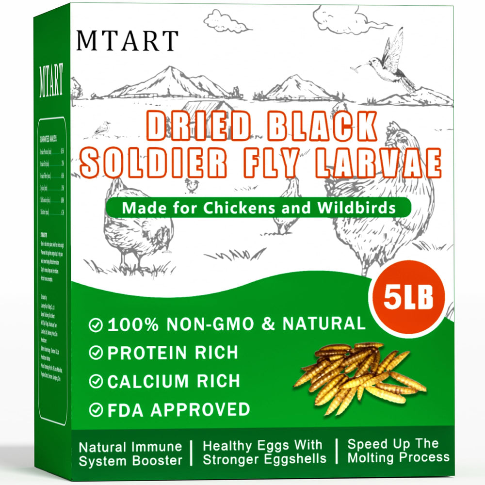 MTART BSF larvae treat in a bowl highlighting protein boost for poultry health