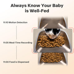 MUBBI app control panel for meal settings and scheduling
