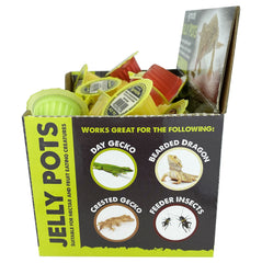 Multipet Komodo Jelly Pots banana cup provides quick hydration and nutrients for feeder insects.