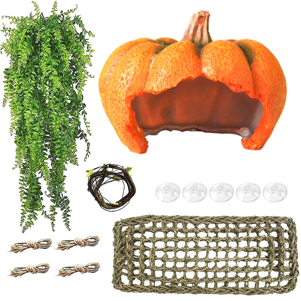 MUYG leopard gecko pumpkin hideout cave offers secure retreat and enrichment.