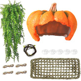 MUYG leopard gecko pumpkin hideout cave offers secure retreat and enrichment.