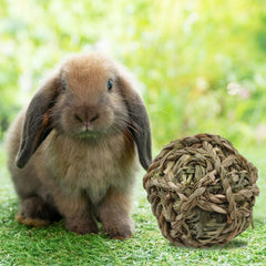 MUYG Timothy hay ball in cage for enrichment.