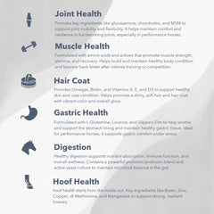 MVP Exceed 6-Way gastric-digestive pellets closeup for gut wellness.