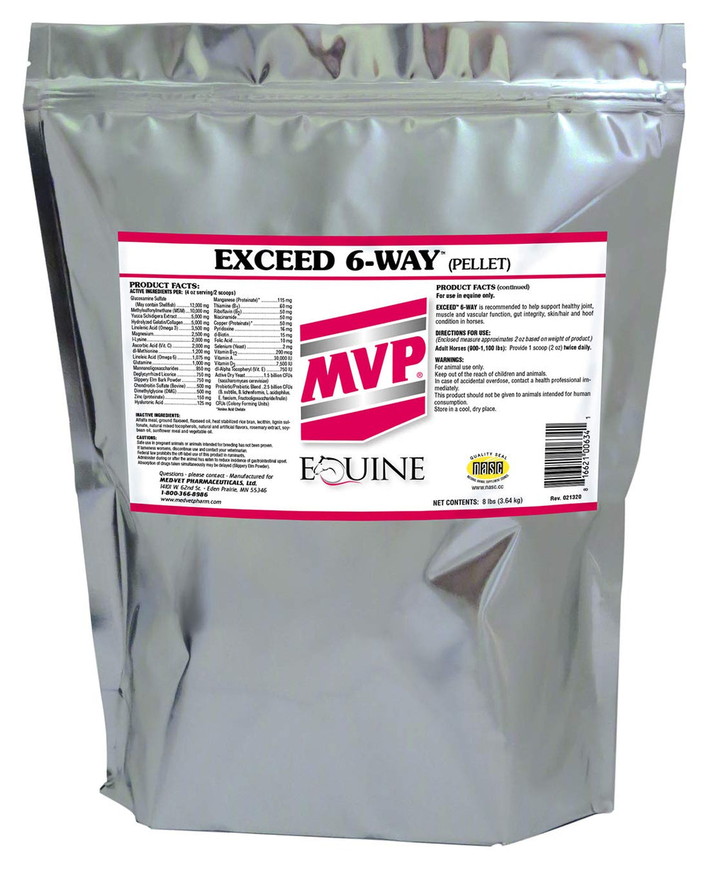 MVP Exceed 6-Way bottle front showing ready-to-use equine support.