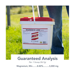 MVP Magnesium 5000 pellets fed to a horse during training for calmer routines.