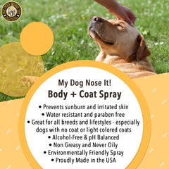 My Dog Nose It Coat and Body Spray at the beach during sun play.