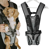 My Modern Pet dog carrier backpack front view shows secure fit for small dogs