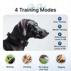 My Pet Command IPX7 waterproof collar lets dogs swim and train in any weather.