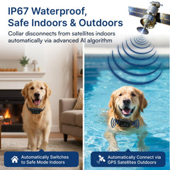 My Pet Command remote and collars for on-leash training sessions