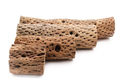 My Pet Patrol Teddy Bear Cholla Wood 9-inch piece, natural decor with hollow center for creative habitats