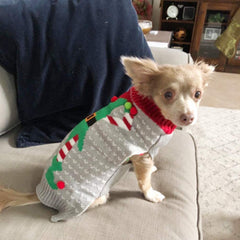 NACOCO dog sweater with clown pattern highlights playful holiday style for parties