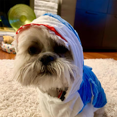 NACOCO dog shark costume blue M features double-layer warmth for chilly days.