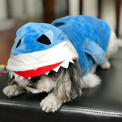 NACOCO shark costume blue M on a pet ready for autumn adventures and parties.