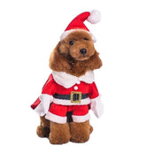 NACOCO pet Christmas costume dog front view in red for a festive look
