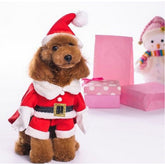 NACOCO pet Christmas costume front view for festive photos