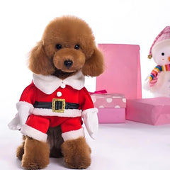 NACOCO red Santa costume for dogs size M mid-sized pets