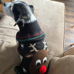 NACOCO Rudolph sweater cat wearing image emphasizes cozy holiday attire.