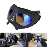 NAMSAN Clear Dog Goggles front view with wide snout fit and soft frame for comfort