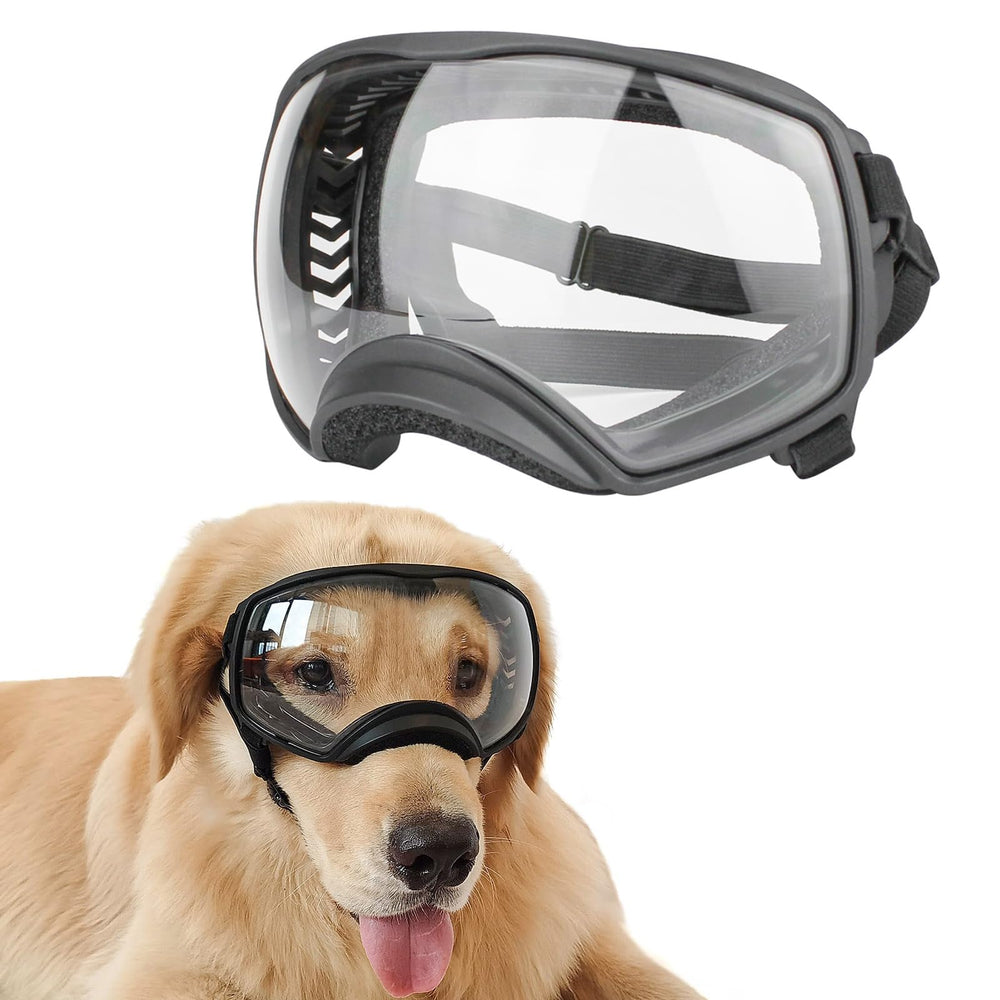 NAMSAN dog goggles with clear lenses provide wind protection during outdoor walks.